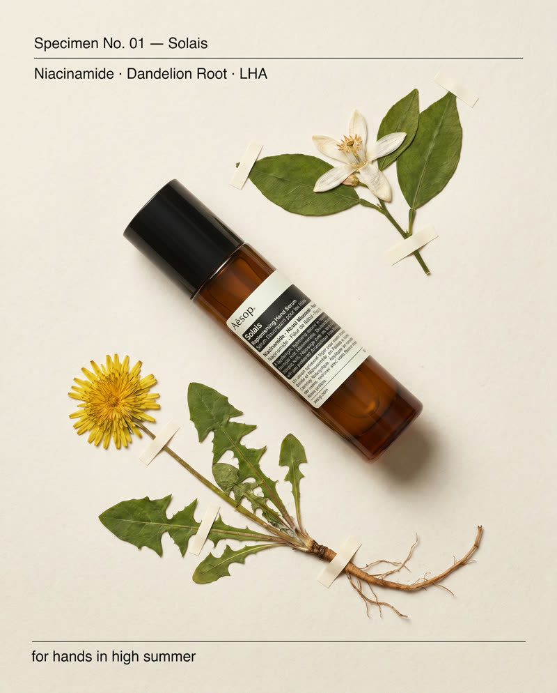 Post 2 of the grid I delivered for Aesop