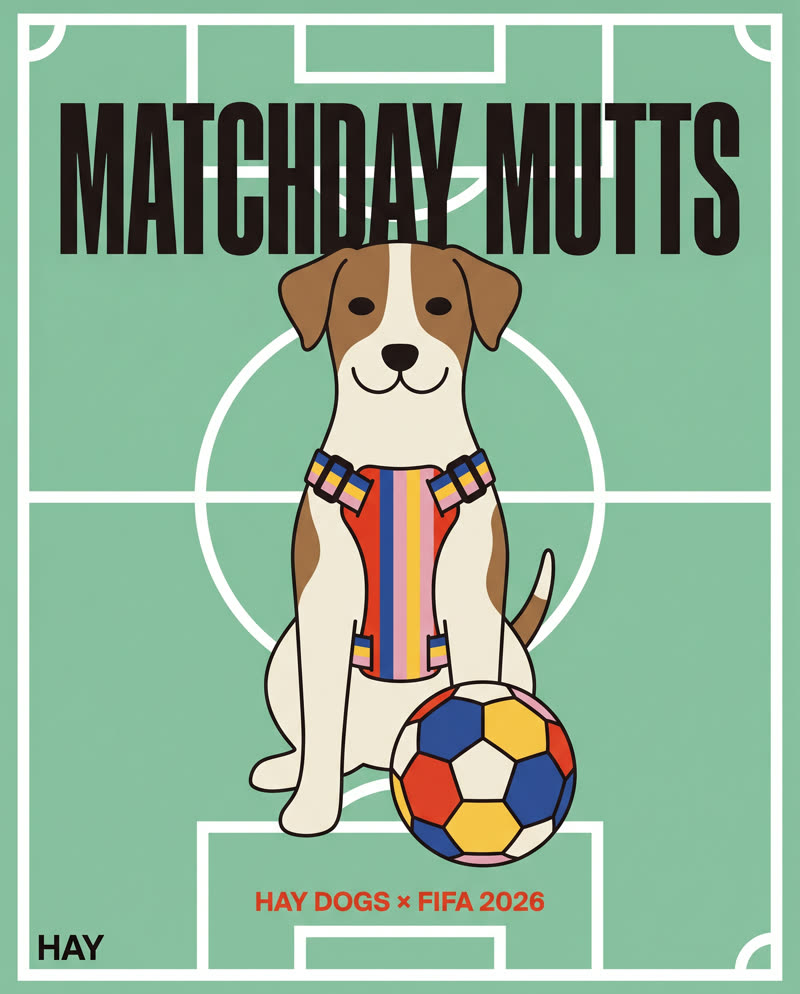 A tile I delivered for HAY's Dogs x FIFA 2026: Matchday Mutts grid
